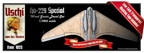 48nd Scale Horten Special