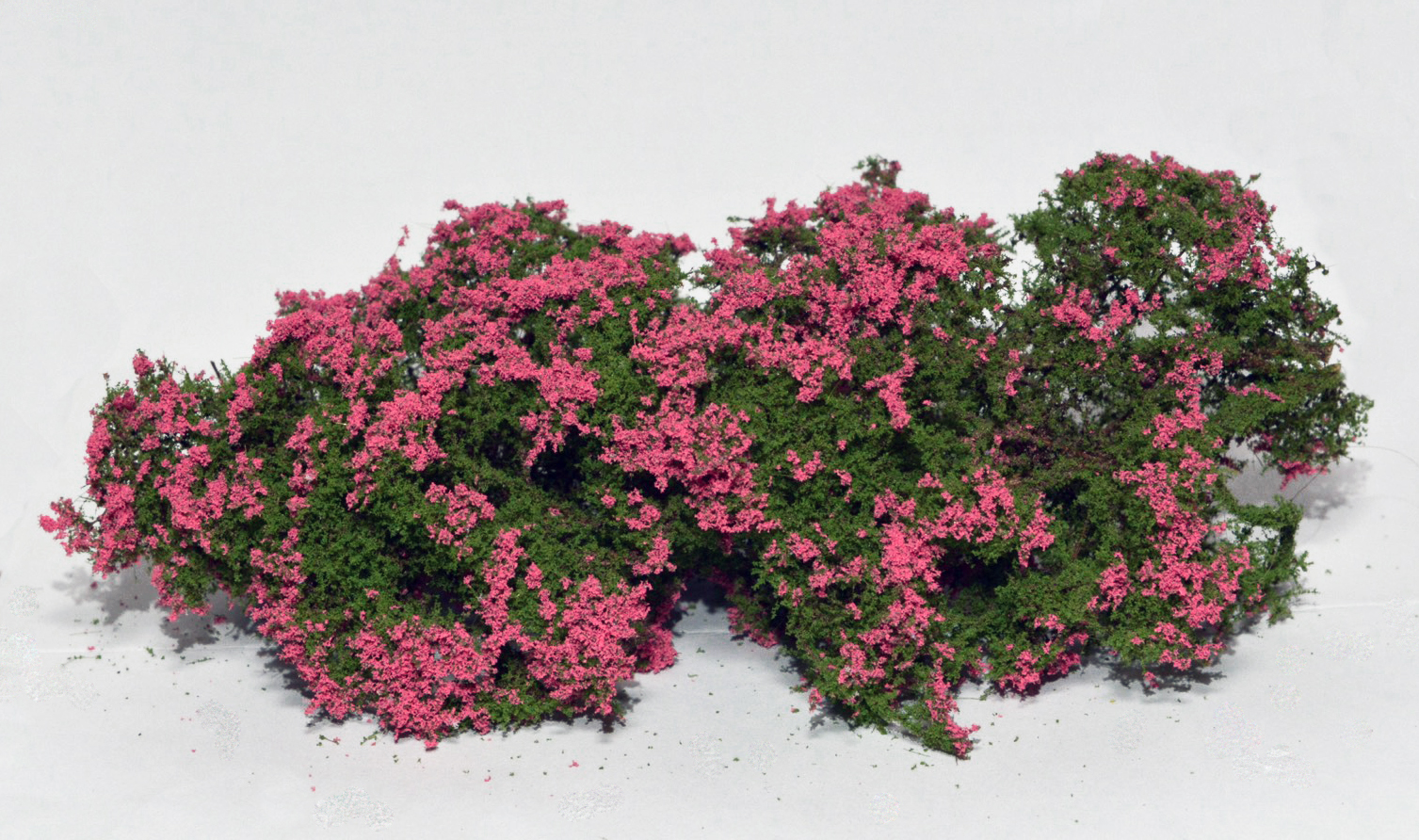 Flowering shrubs pink