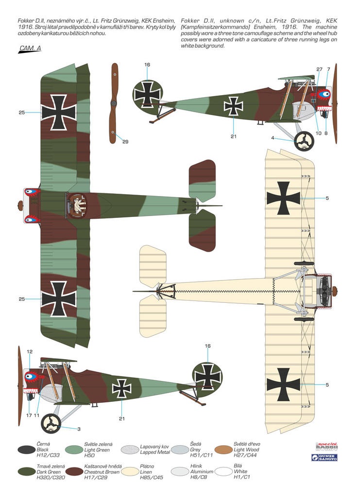 Fokker D. II "Gruenzweig`s Planes
