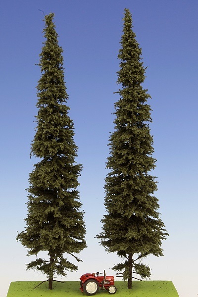 Spruce with short trunk 300 mm - 2x