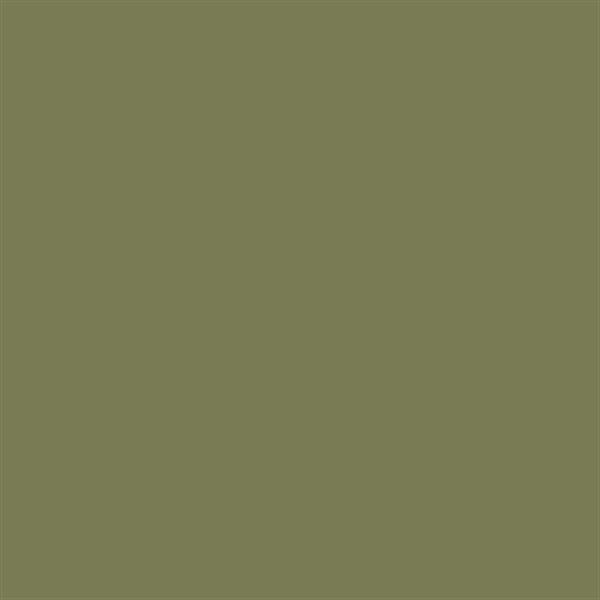 US Army Olive Drab Faded 1 FS 34088 US Army Olive Drab Faded 1 FS 34088
