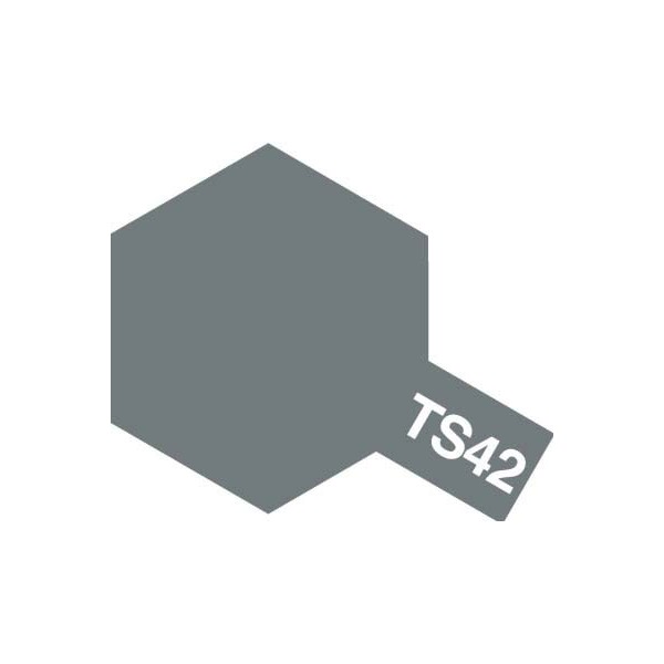 TS-42 Light Gun Metal Semi Gloss 100ml spray can