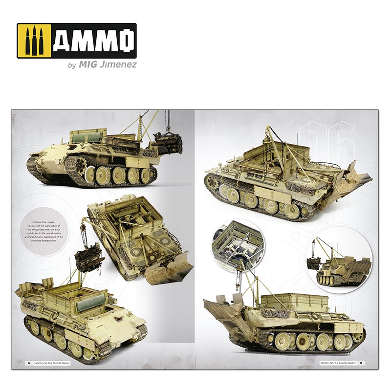 Panthers – Modelling the TAKOM Family