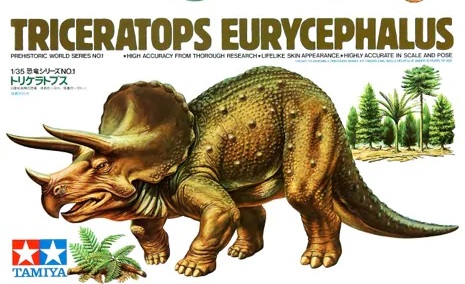 Triceratops Eurycephalus