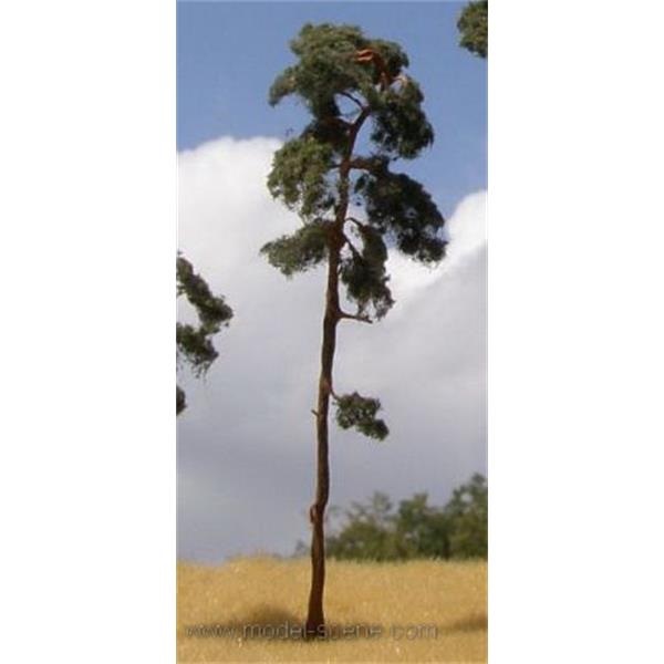 Pine-tree 130-170mm (3x)