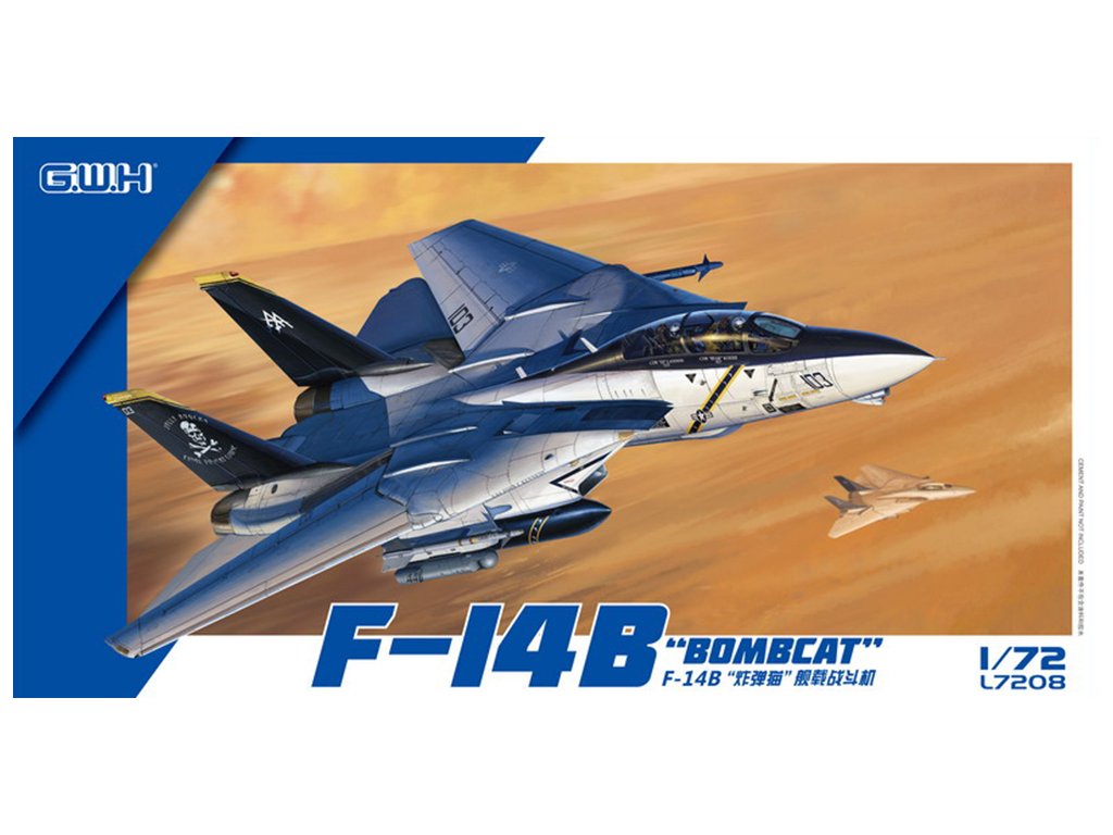 Grumman F-14B "Bombcat"