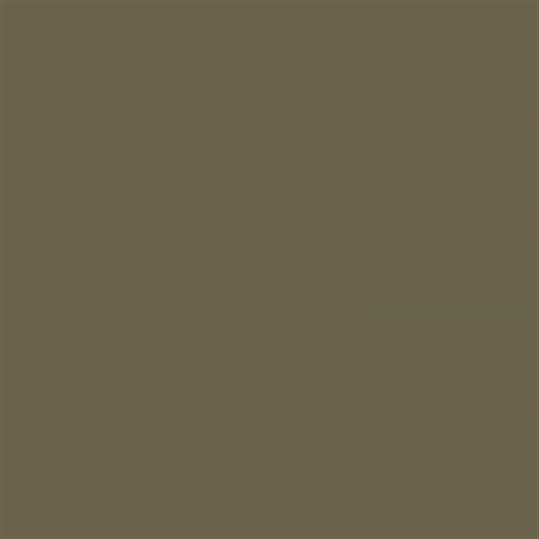 US Army Olive Drab FS 319