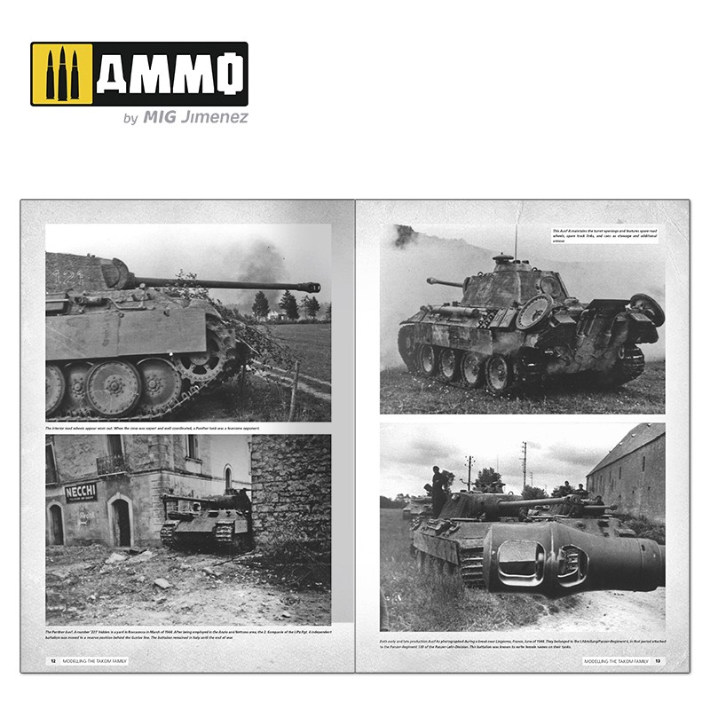 Panthers – Modelling the TAKOM Family